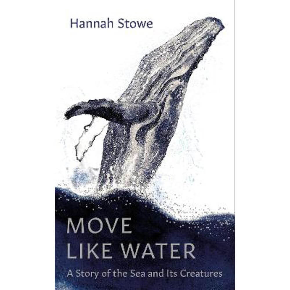 Move Like Water: A Story of the Sea and Its Creatures (Hardback) - Hannah Stowe
